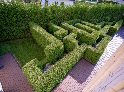 ЛОТ 53346 