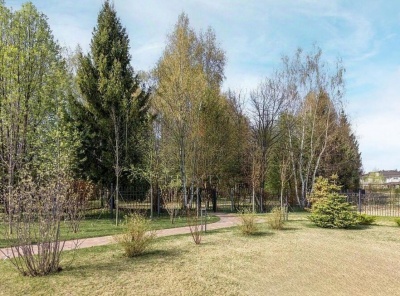 ЛОТ 82163 МТ