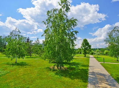 3 Bedrooms, Загородная, Продажа, Listing ID 2265, Московская область, Россия,