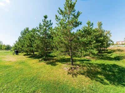 Загородная, Продажа, Listing ID 2355, Московская область, Россия,