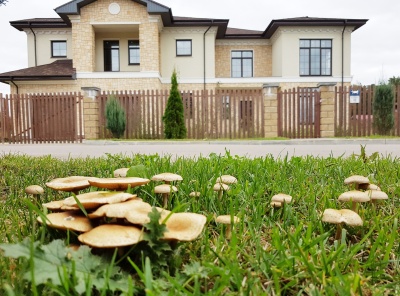 4 Bedrooms, Загородная, Продажа, Listing ID 2471, Московская область, Россия,