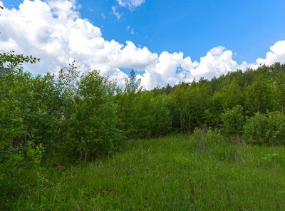 Загородная, Продажа, Listing ID 2612, Московская область, Россия,