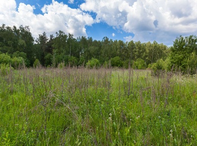 Загородная, Продажа, Listing ID 2613, Московская область, Россия,