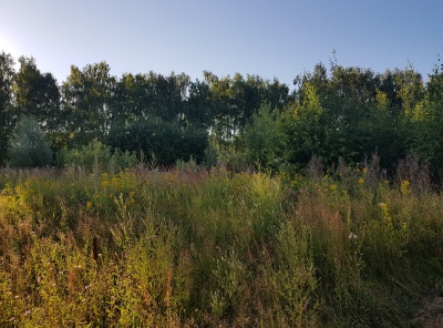 Загородная, Продажа, Listing ID 2691, Московская область, Россия,