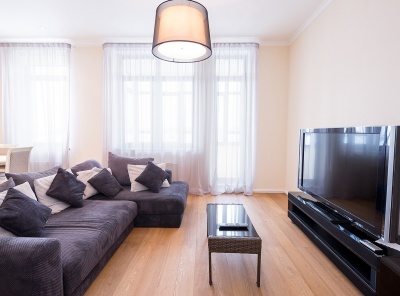 1 Bedrooms, 2 Комнаты, Загородная, Аренда, Listing ID 4028, Московская область, Россия,