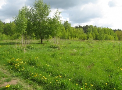 4 Bedrooms, 5 Комнаты, Загородная, Продажа, Listing ID 6239, Московская область, Россия,