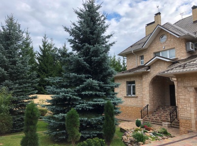 5 Bedrooms, 8 Комнаты, Загородная, Продажа, Listing ID 6831, Московская область, Россия,